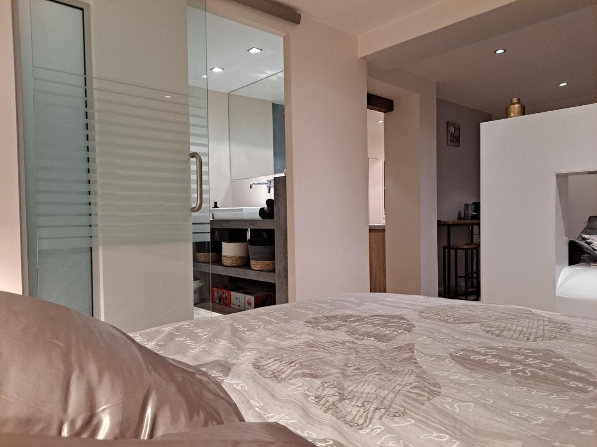 Boigne Sweet Suite Chambery Bagian luar foto